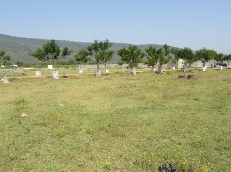 4) Residential Plots for Sale  Near Tirupati Surroundings.JPG